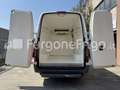 Mercedes-Benz Sprinter Mercedes Sprinter Coibentato Isotermico Frigorife Bianco - thumbnail 6