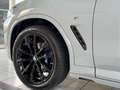 BMW X4 xDrive 30 d M Sport+Head-Up+Standheizung+AHK Gris - thumbnail 18