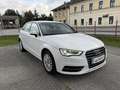 Audi A3 Ambiente 1,6 TDI *S-tronic*NAVI*XENON*PDC* Weiß - thumbnail 8