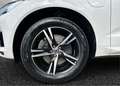 Volvo XC60 T6 Recharge Plug-in Hybrid AWD R-design Bianco - thumbnail 9
