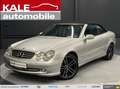 Mercedes-Benz CLK 240 Cabrio Avantgarde *LEDER*18Zoll* Zilver - thumbnail 1