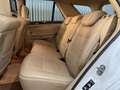 Mercedes-Benz ML 63 AMG Aut. Blanc - thumbnail 22