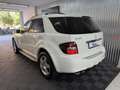 Mercedes-Benz ML 63 AMG Aut. Blanc - thumbnail 6