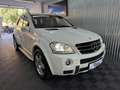 Mercedes-Benz ML 63 AMG Aut. Blanc - thumbnail 3