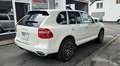Porsche Cayenne - thumbnail 4
