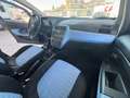 Fiat Punto Punto 1.2 5 porte Actual Blu/Azzurro - thumbnail 14