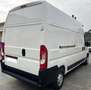Peugeot Boxer Boxer 335 2.2 140cv L3H3 - TETTO SUPER ALTO Bianco - thumbnail 3