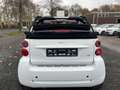 smart forTwo cabrio Passion CDI*Apple Car Play Weiß - thumbnail 4