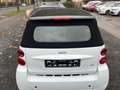 smart forTwo cabrio Passion CDI*Apple Car Play Weiß - thumbnail 17