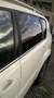 SsangYong Rexton Rexton 2.0 xdi 4wd 7posti Alb - thumbnail 4