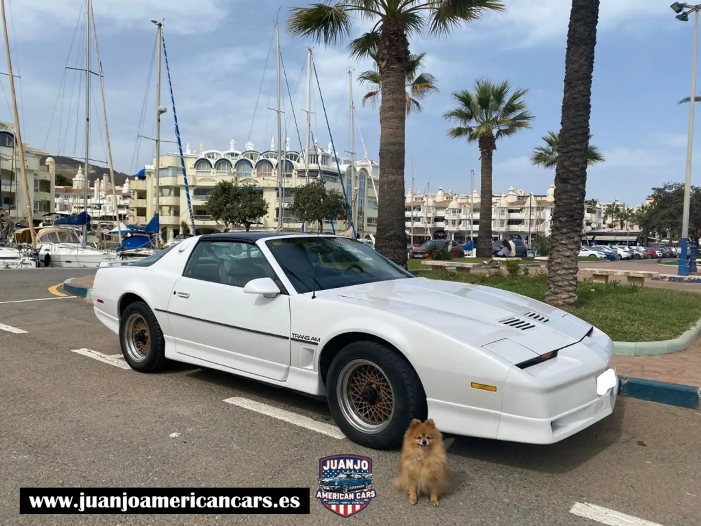 Pontiac Fiero Coupé Bianco - 1