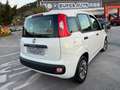 Fiat New Panda 1.2 EasyPower GPL DI SERIE Blanco - thumbnail 4
