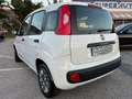 Fiat New Panda 1.2 EasyPower GPL DI SERIE Blanco - thumbnail 6