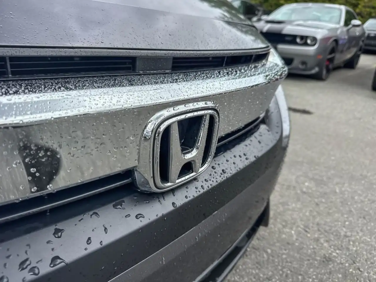 Honda Civic снимка Honda Civic