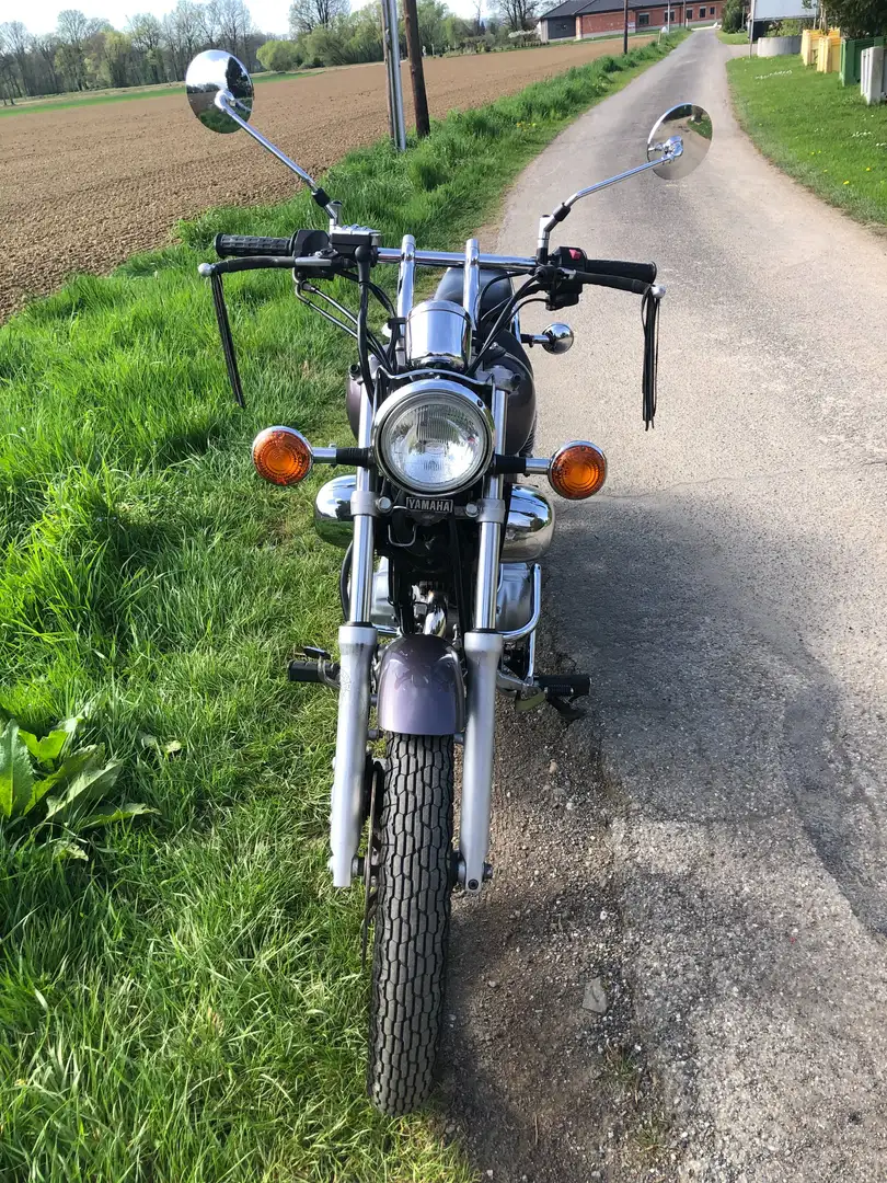 Yamaha XV 250 Virago Mauve - 2