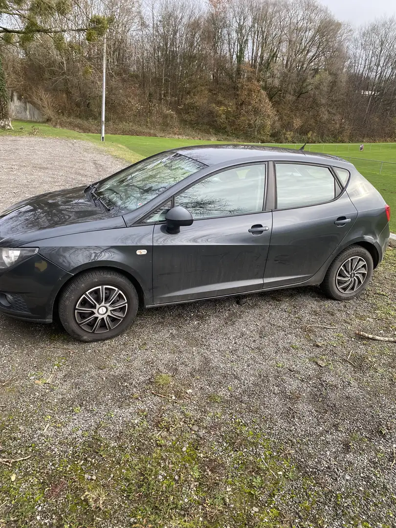 SEAT Ibiza 1.2 CR TDi Style DPF - 2