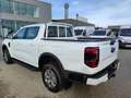 Ford Ranger Ranger Doppelkabine XLT e-4WD 2.3 EcoBoost 11.8... Weiß - thumbnail 3