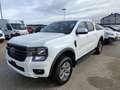 Ford Ranger Ranger Doppelkabine XLT e-4WD 2.3 EcoBoost 11.8... Weiß - thumbnail 1