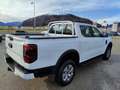 Ford Ranger Ranger Doppelkabine XLT e-4WD 2.3 EcoBoost 11.8... Weiß - thumbnail 5