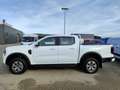Ford Ranger Ranger Doppelkabine XLT e-4WD 2.3 EcoBoost 11.8... Weiß - thumbnail 2