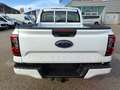 Ford Ranger Ranger Doppelkabine XLT e-4WD 2.3 EcoBoost 11.8... Weiß - thumbnail 4