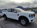 Ford Ranger Ranger Doppelkabine XLT e-4WD 2.3 EcoBoost 11.8... Weiß - thumbnail 6