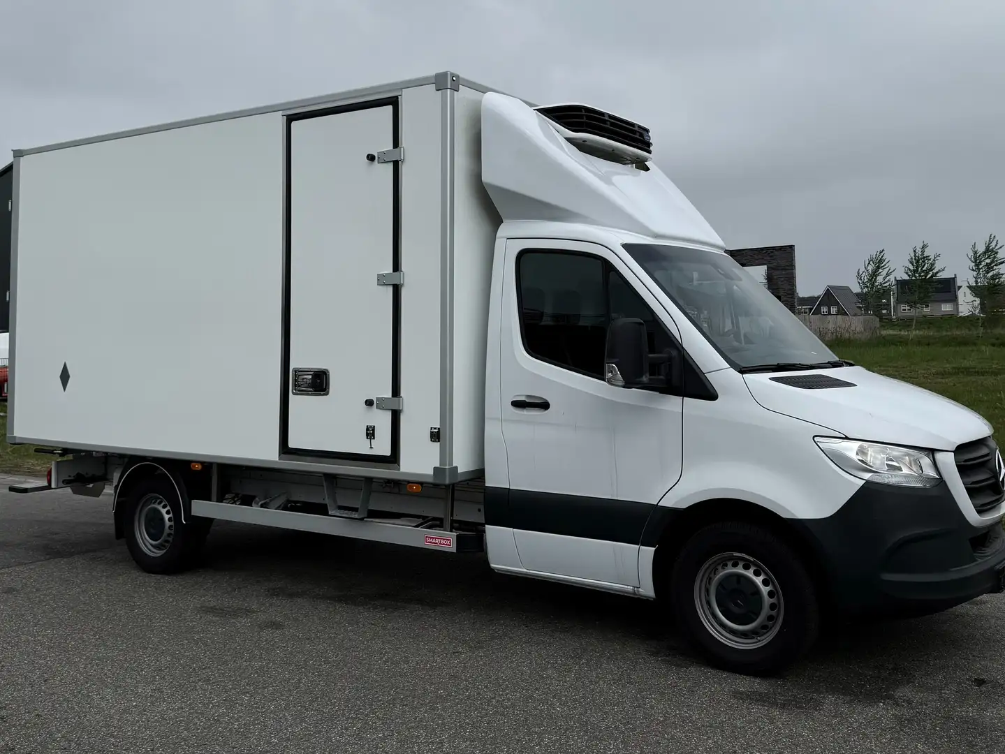 Mercedes-Benz Sprinter 317 met lichtgewicht koel/vries bak en Carriër - 1