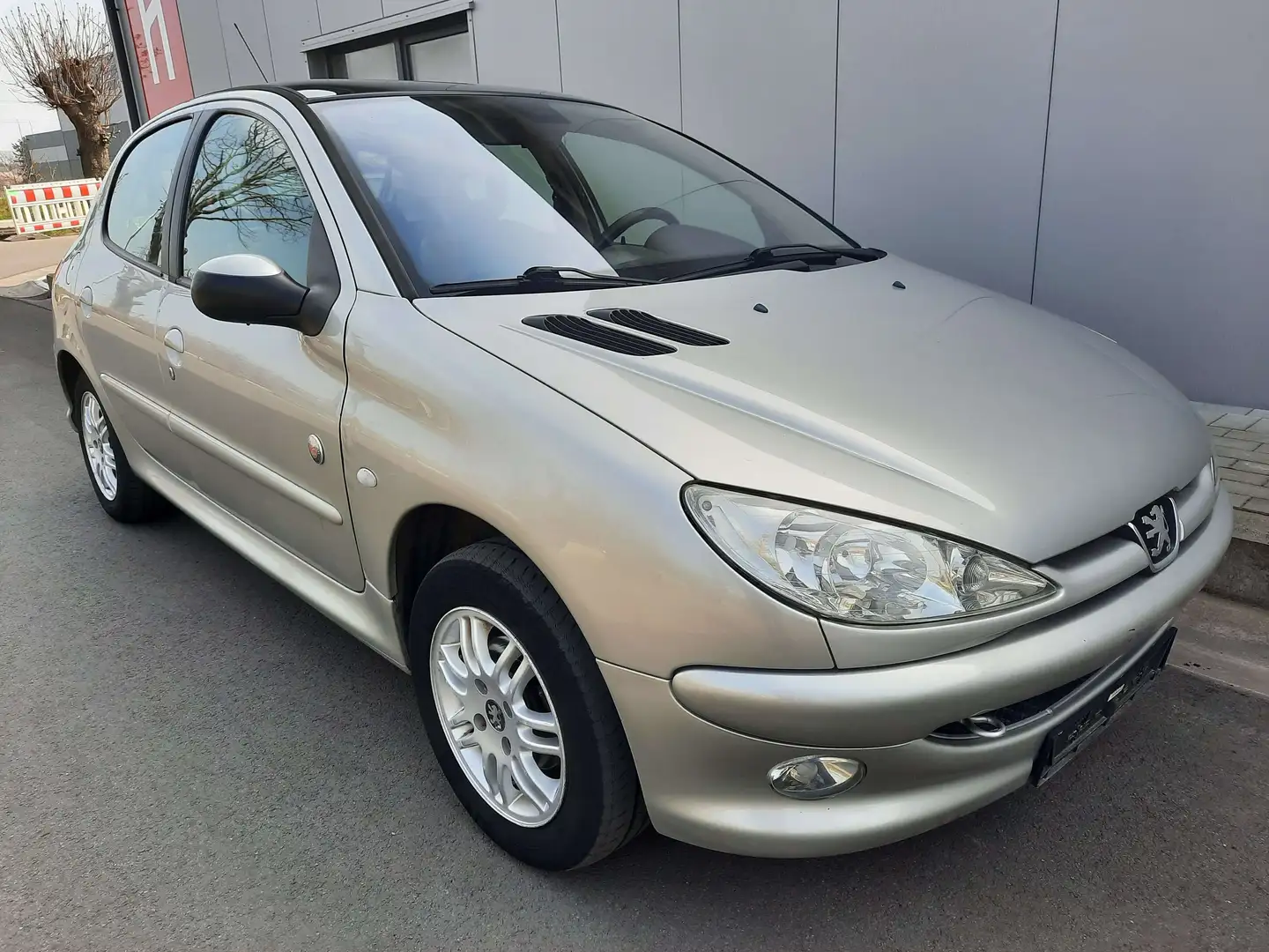 Peugeot 206 1.4i Roland Garros 5p autom. full options Beige - 2