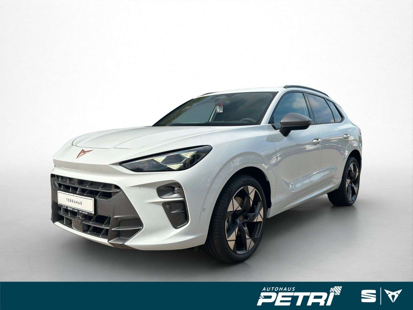 Second hand Cupra Terramar 2.0