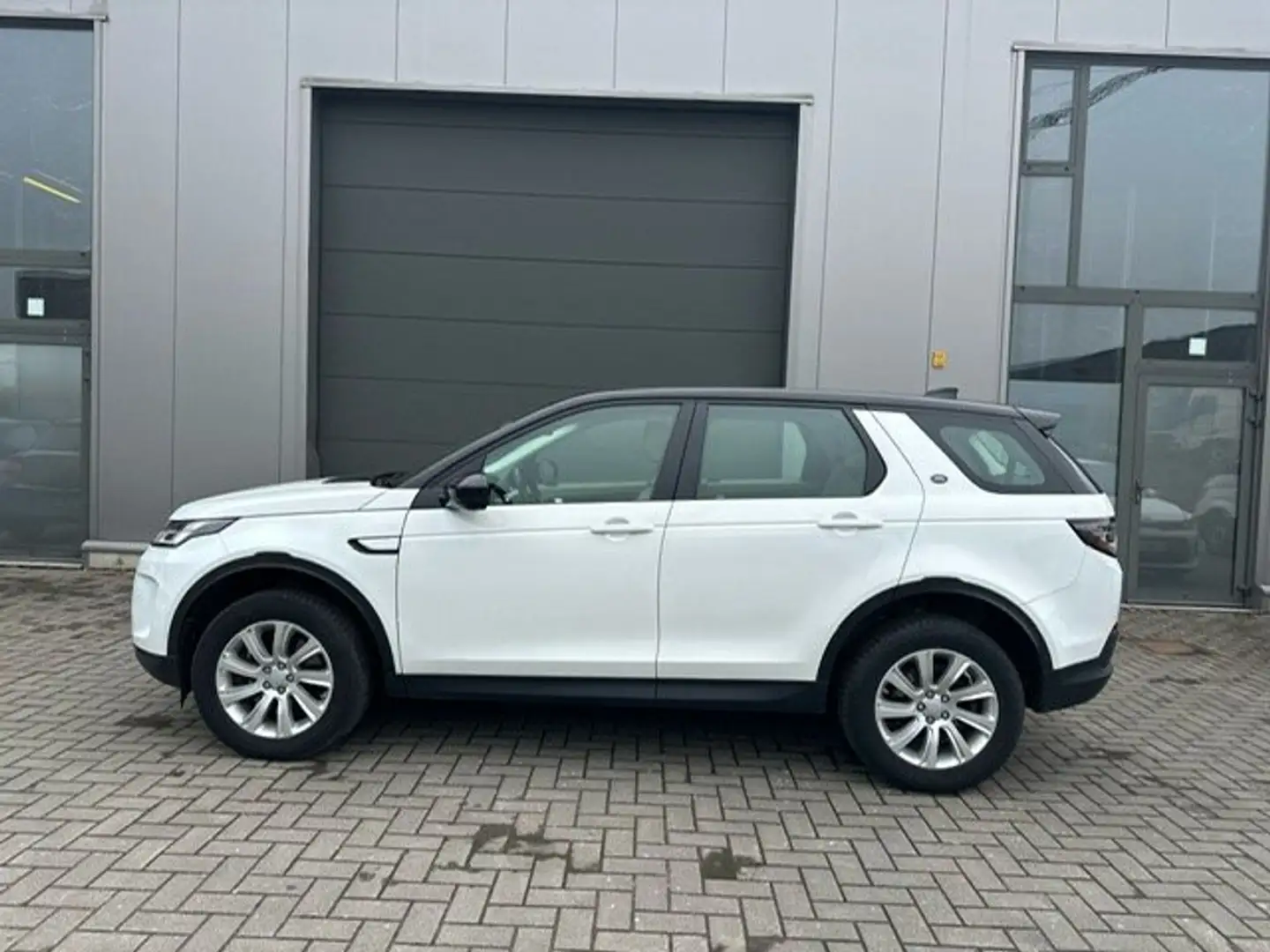 Land Rover Discovery Sport 7-zitplaatsen/ LED/ camera Wit - 2