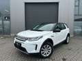 Land Rover Discovery Sport 7-zitplaatsen/ LED/ camera Wit - thumbnail 1