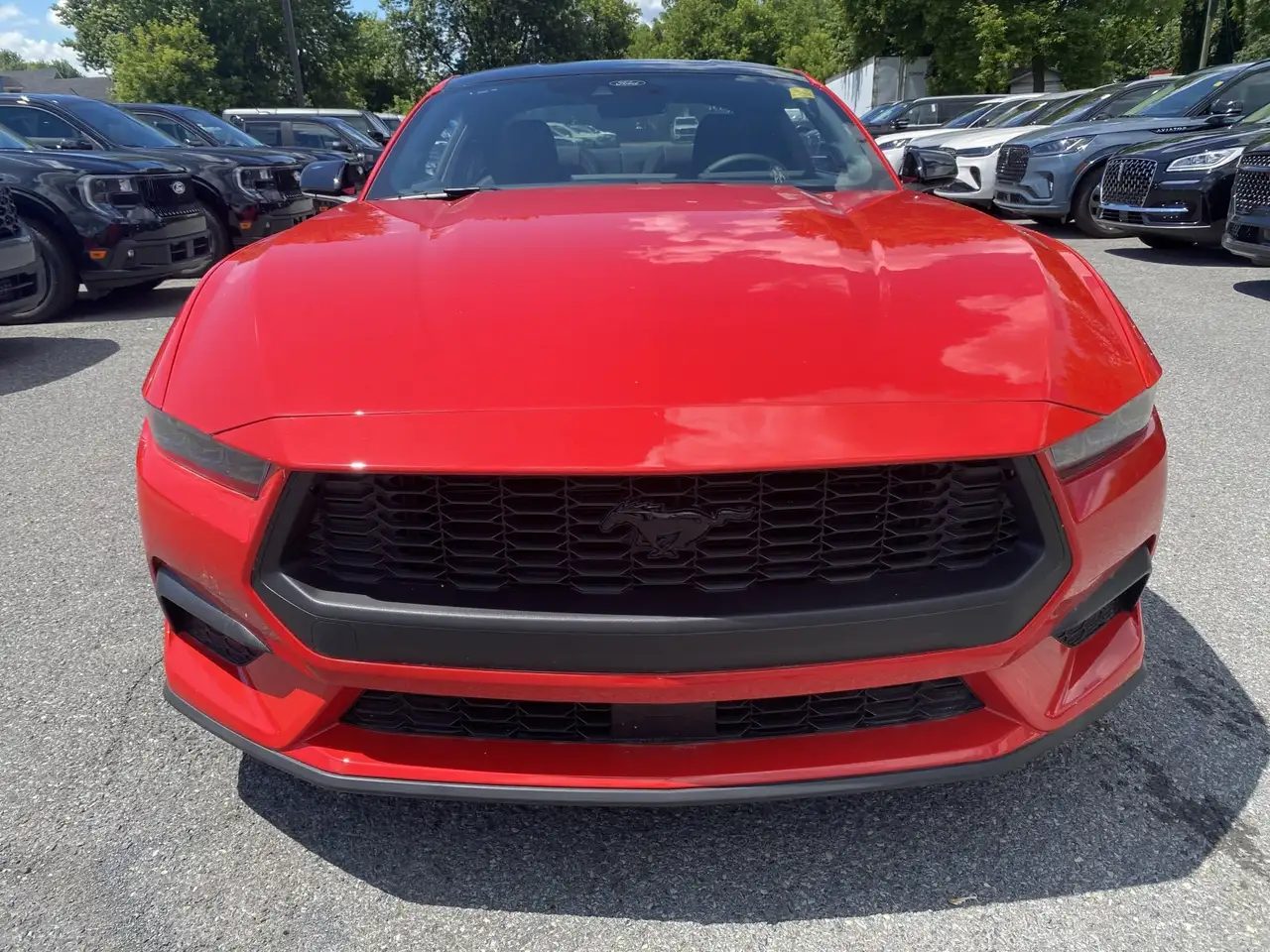Ford Mustang снимка Ford Mustang