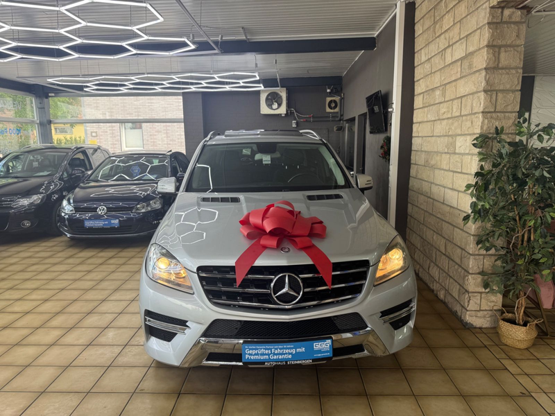 Mercedes-Benz ML 350 CDI AMG LINE BlueTec*AHK*BT*ELEK-SITZ*SHZ — photo 8