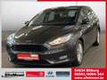 Ford Focus Turnier 1.0 EcoBoost Business /PDC Szary - thumbnail 1