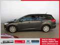 Ford Focus Turnier 1.0 EcoBoost Business /PDC Grigio - thumbnail 2