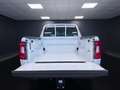 Volkswagen Amarok 2.0 TDI 170CV 4MOTION Bianco - thumbnail 13