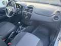 Fiat Punto Punto 5p 1.3 mjt Street s&s 95cv Grigio - thumbnail 11