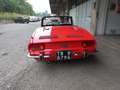 Fiat 850 SPORT SPIDER Rouge - thumbnail 5