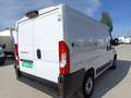 Fiat Ducato Fg. 30 2.2Mjt L1 H1 Panelado 120CV Blanco - thumbnail 13