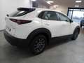 Mazda CX-30 2.0L e-Skyactiv-G M Hybrid 2WD Exclusive PROMO!!!! Білий - thumbnail 4