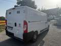 Fiat Ducato Ducato 28 2.3 MJT 120CV PC-TN Furgone bijela - thumbnail 5