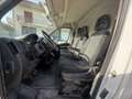 Fiat Ducato Ducato 28 2.3 MJT 120CV PC-TN Furgone bijela - thumbnail 9