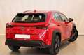 Lexus UX 250h BUSSINES 2WD + SENSORES Blanco - thumbnail 3
