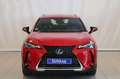 Lexus UX 250h BUSSINES 2WD + SENSORES Blanco - thumbnail 2
