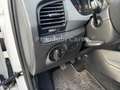 Skoda Fabia Combi Active *1.Hd*Scheckheft*Garantie* Bianco - thumbnail 13