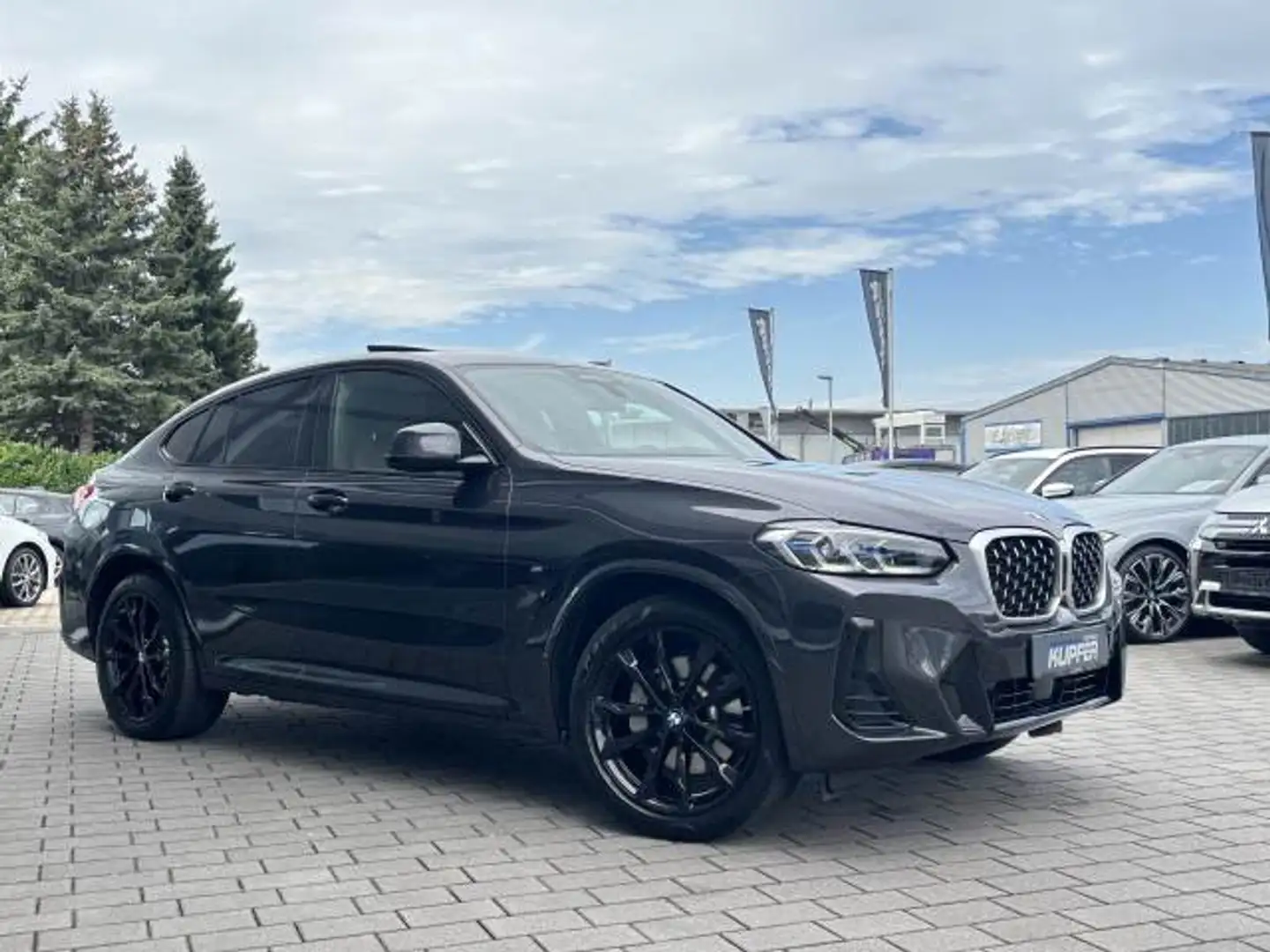 BMW X4 xDrive30d M Sportp. Pano°ACC°AHK°Stdhg°Laser Серый - 2