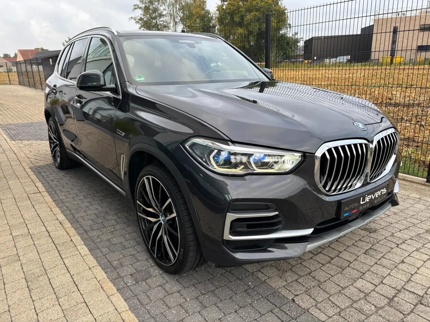 BMW X5 xDrive45e xLine Bleu - 2