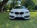 BMW 218 218d Cabrio Msport Full optional - thumbnail 4