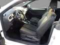 Volkswagen T-Roc 1.5 TSI DSG Style Navi W-Schott Weiß - thumbnail 6