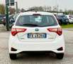 Toyota Yaris 5p 1.5h Cool Bianco - thumbnail 5